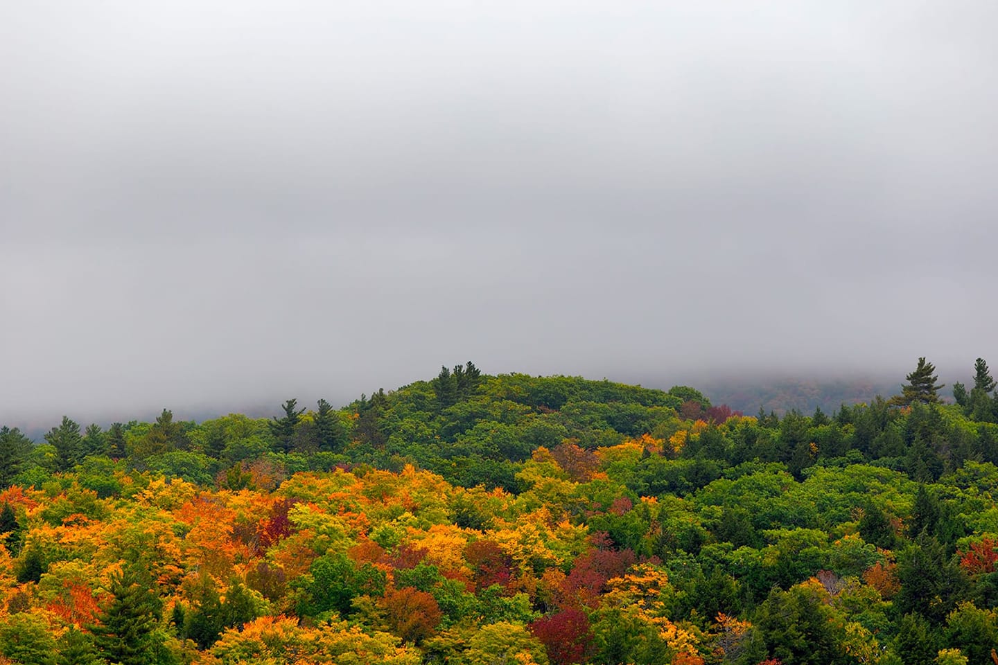 Vibrant Landscapes - After